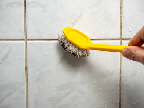 Best Same-Day Mold Removal  in Great Bend, KS