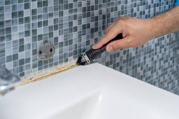 Best Black Mold Removal  in Great Bend, KS