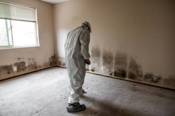 Best Office Mold Removal Services  in Great Bend, KS