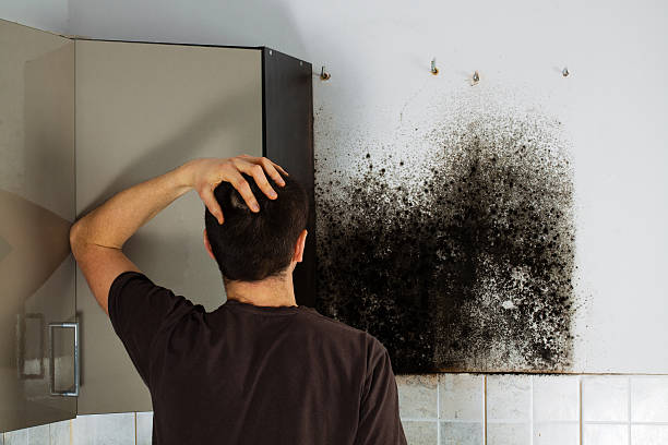 Best Mold Cleaning Services  in Great Bend, KS